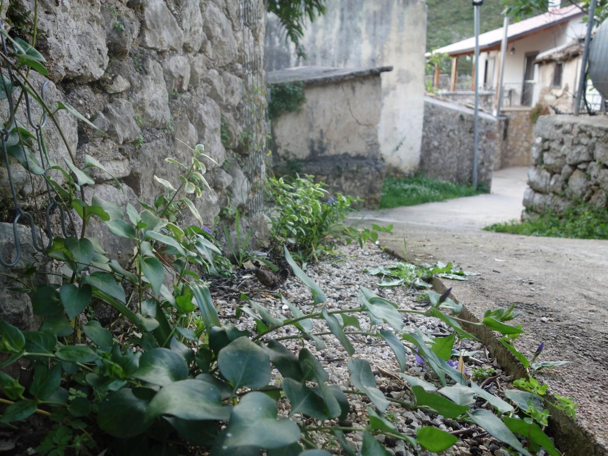 Guesthouse Near The Castle Of Himare Exterior foto